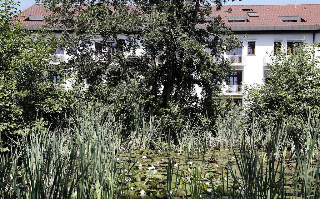 Tagungs- Und Bildungszentrum Steinbach/Taunus Steinbach im Taunus Exterior photo